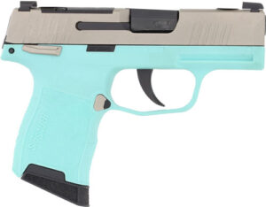 SIG P365 MIC COMP 380ACP 3.1" - XRAY3 OR (2)10RD ROB EGG/NICK