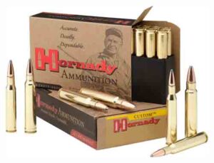 HORNADY 375 RUGER 270GR JSP - 20RD 6BX/CS